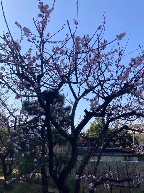 18:00～出勤♡♡