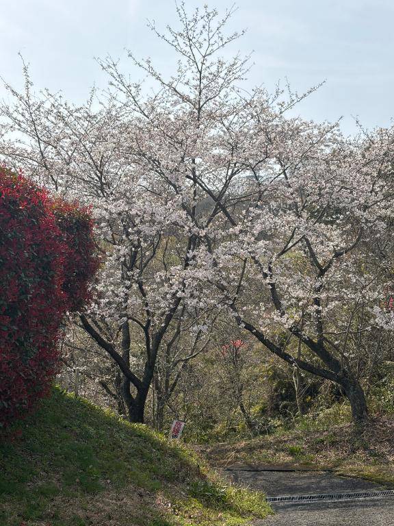 お天気良すぎ♡♡