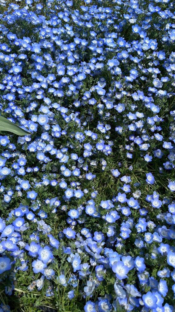 ちょびっと出勤💦