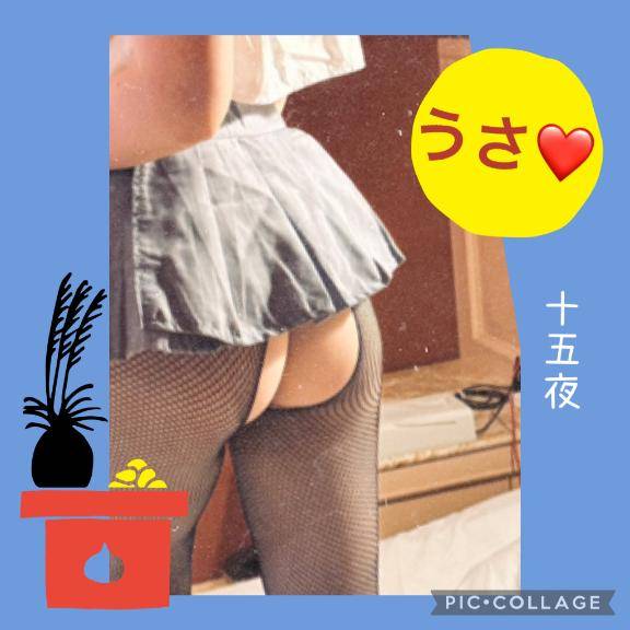 今月の予定❤️