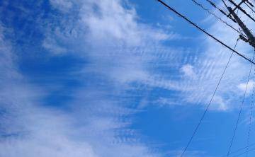 イワシ雲？サバ雲？うろこ雲？