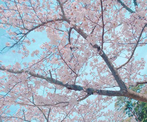5月の始まり??