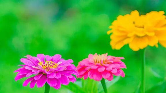 イケイケおにぃさん?