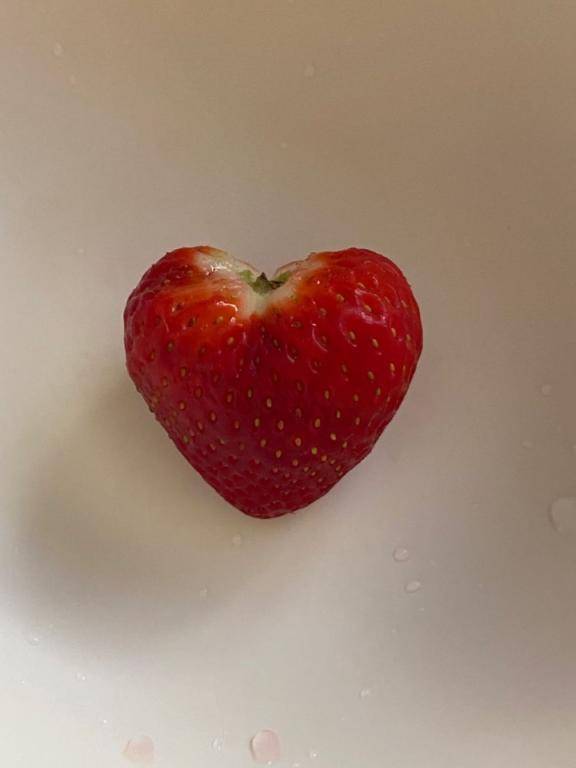 先程のきんぐだむのお兄さん?