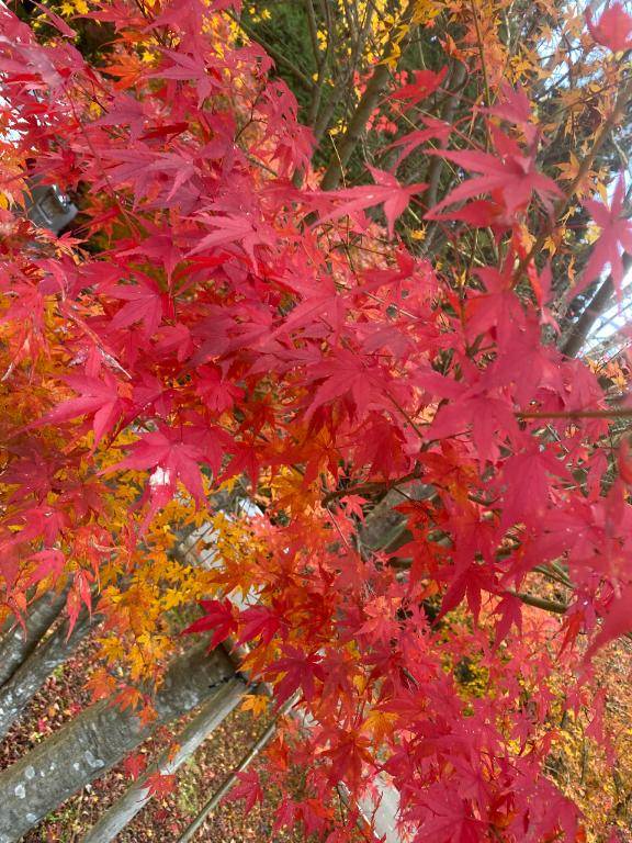 すやすやタイム