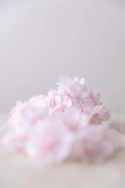 ありがとうございました?