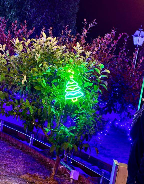 12/26イクよん???