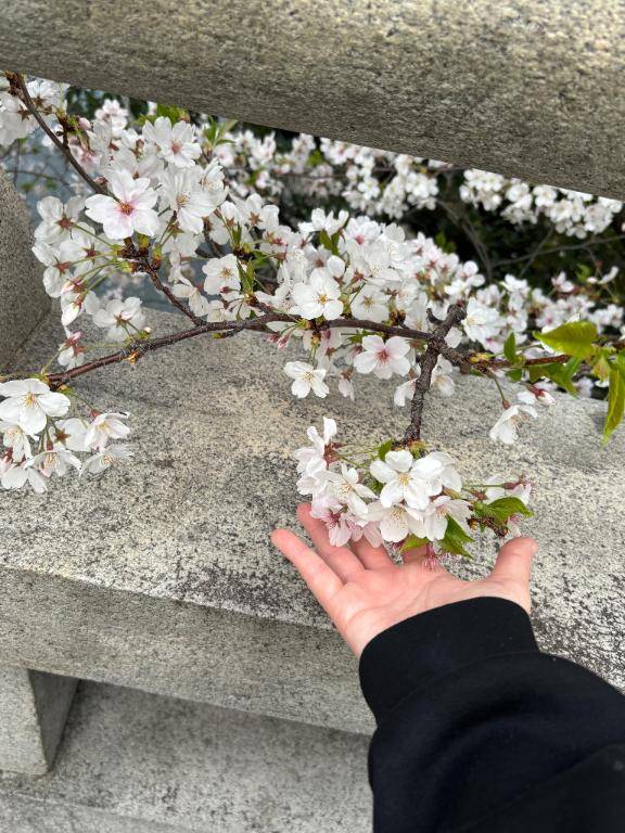 おはようございます