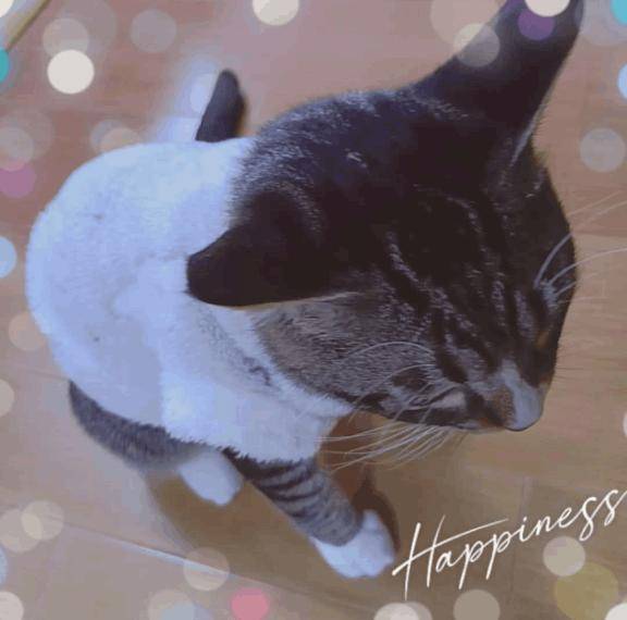 ℓσνє♡