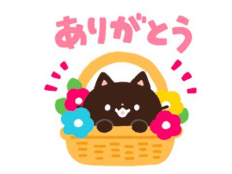 オアシスご新規様?