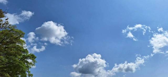 ありがとうございました(o^^o)?