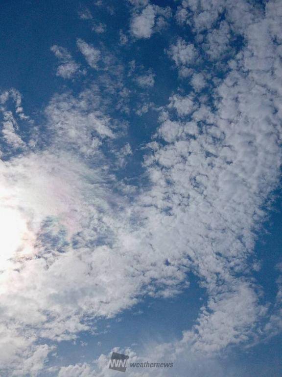 (｡･･)ﾉぉはょぅ♪