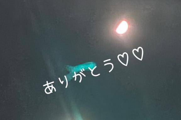 本日終了?