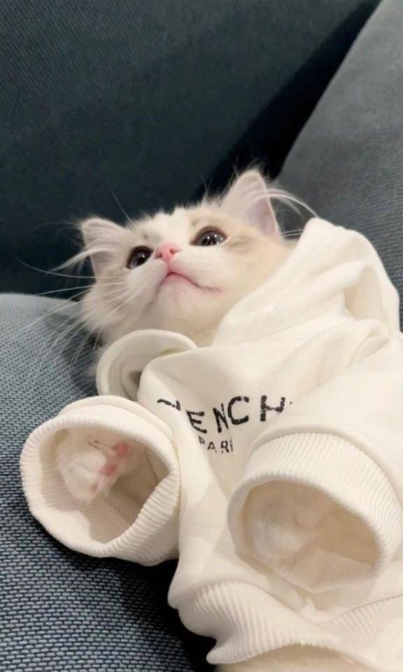 ??