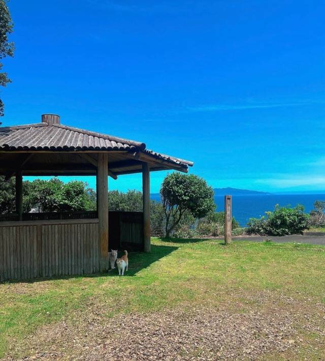 ??こんばんは??^ ^