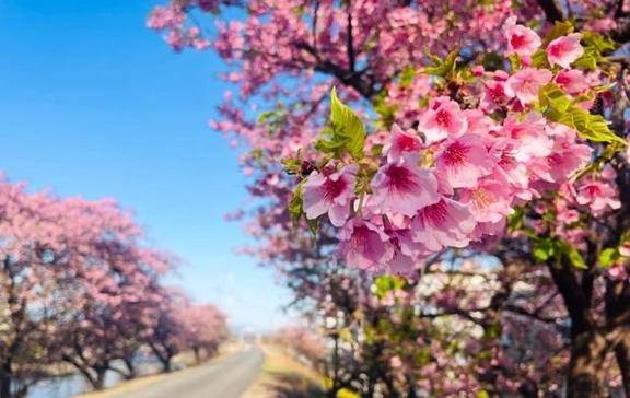 ♡先週もありがとうございました♡^ ^