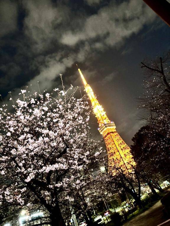 まだまだ足りないよ‎🤍