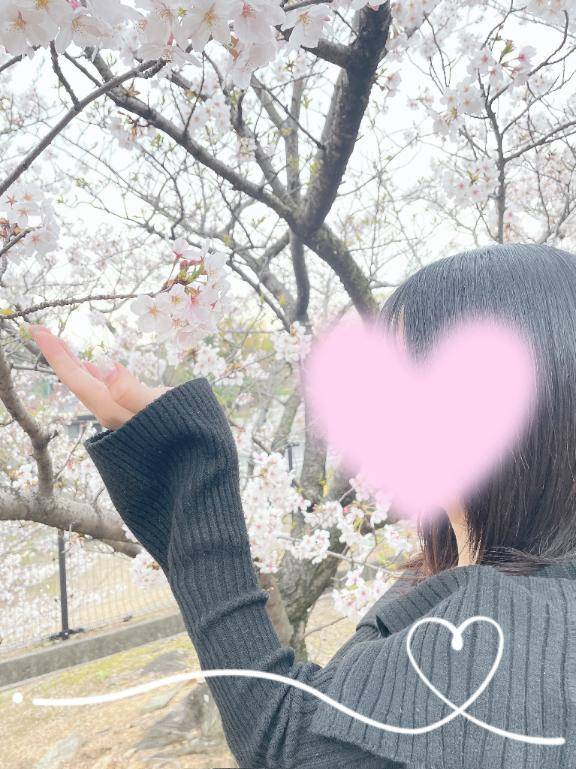 感謝感激雨あられ 🫧𓂃𓈒𓏸