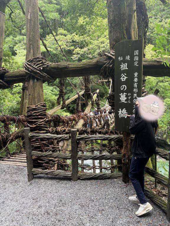 下が見える