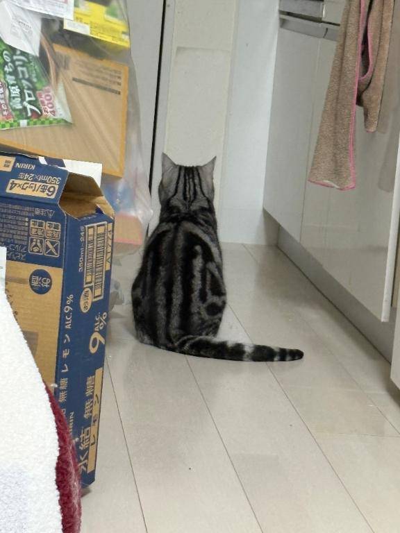 準備完了ー！