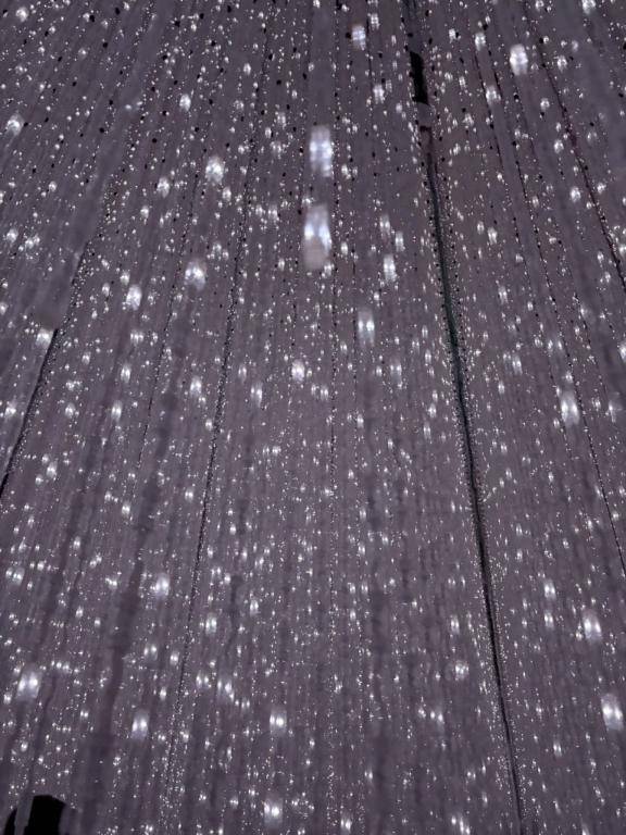 お久しぶりですっ🌟