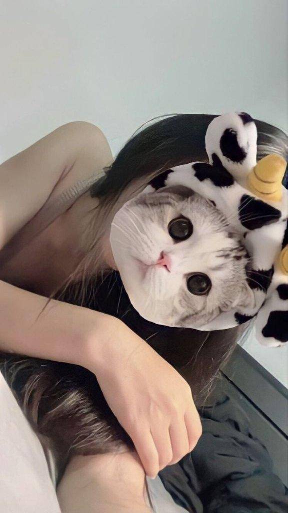 出勤です