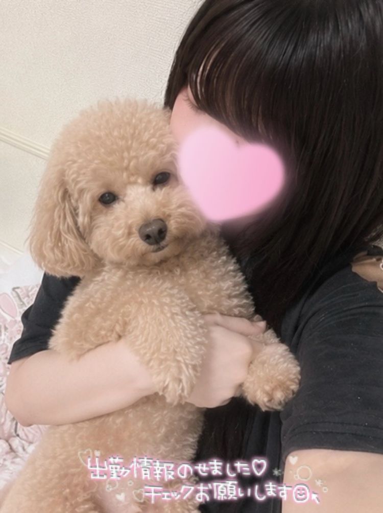 かわいいは正義♡🌷