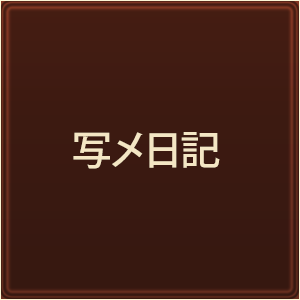 写メ日記