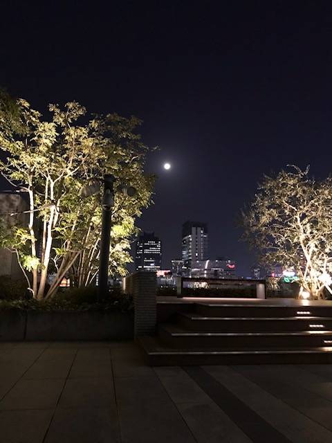 山羊座満月🌕