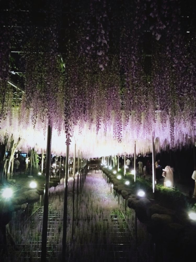 こんばんは✨