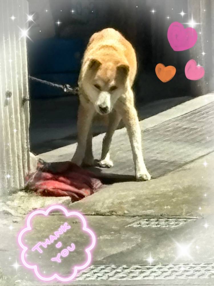 ありがとうございました