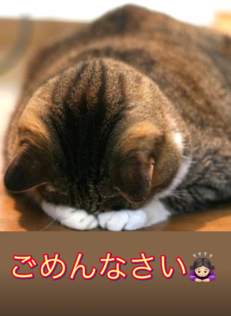 ごめんなさい🙇🏻‍♀️⸒⸒