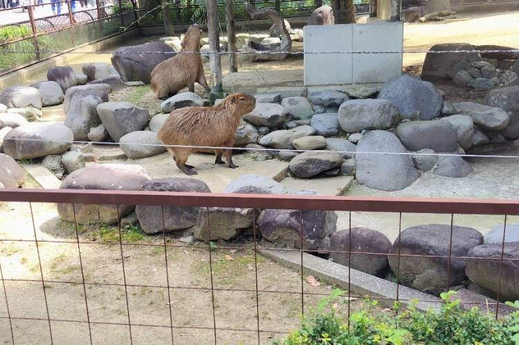 おはようございます