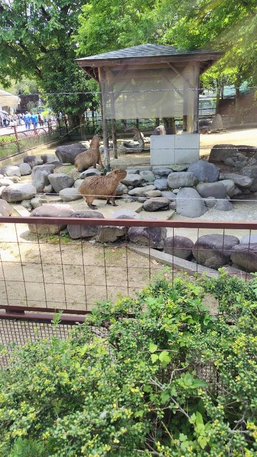 さや(体験)