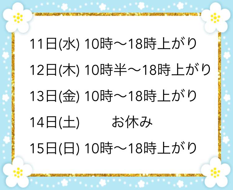 出勤予定☆彡