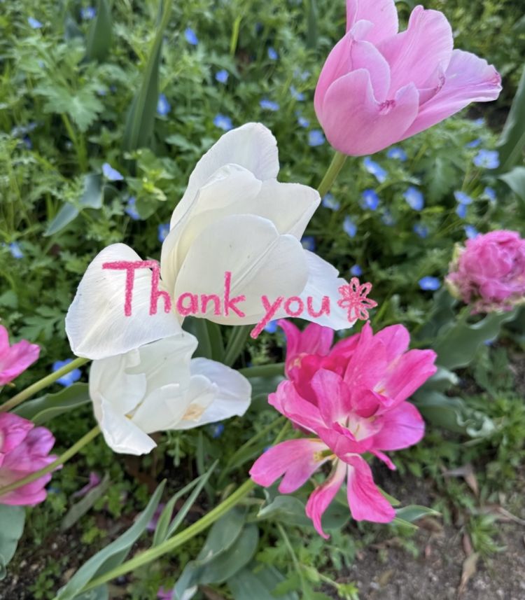 お礼です♡
