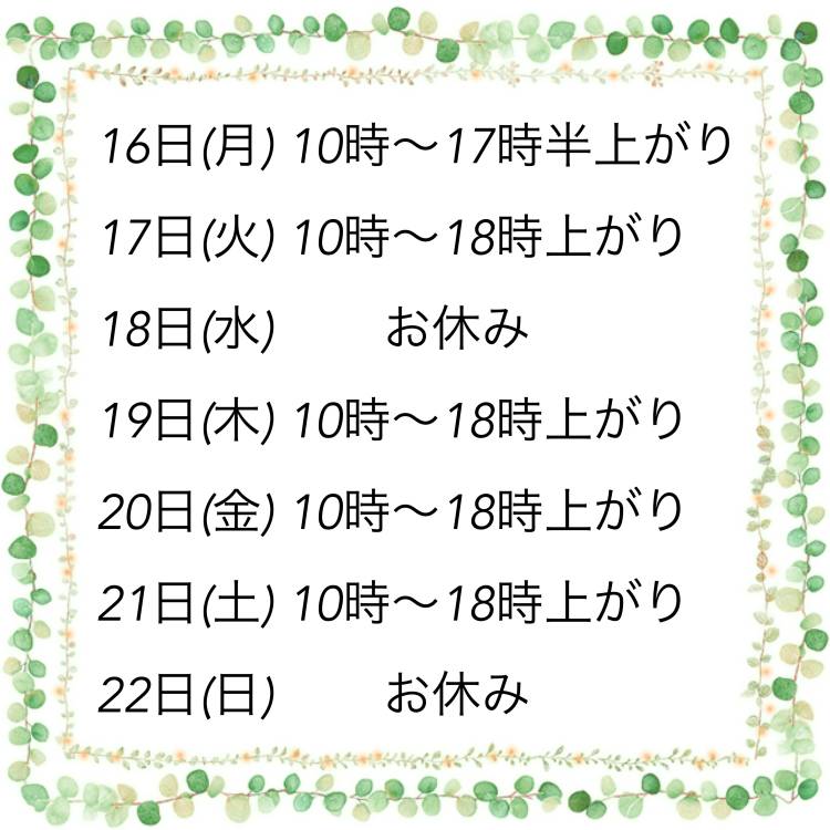 出勤予定☆彡