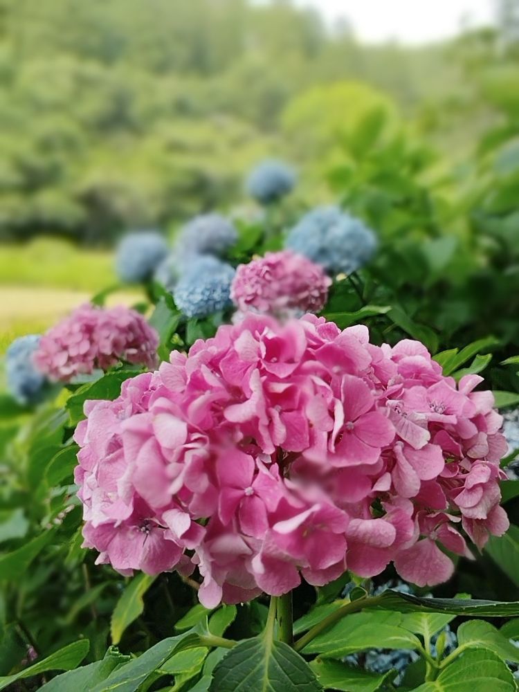 ありがとうございました♡