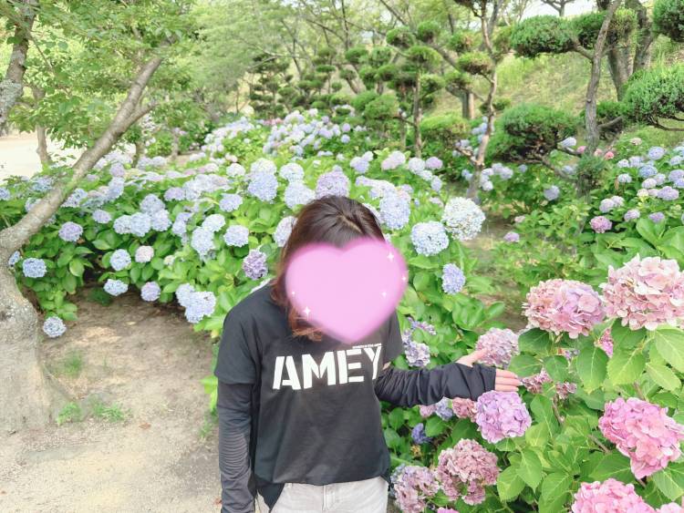 本日
