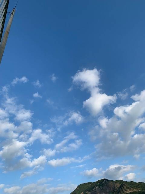 おはようございます^ - ^