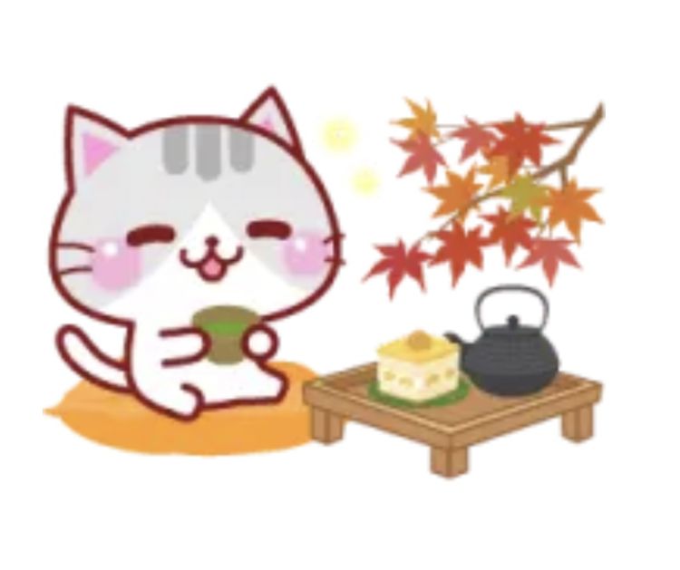 こんにちは🥰