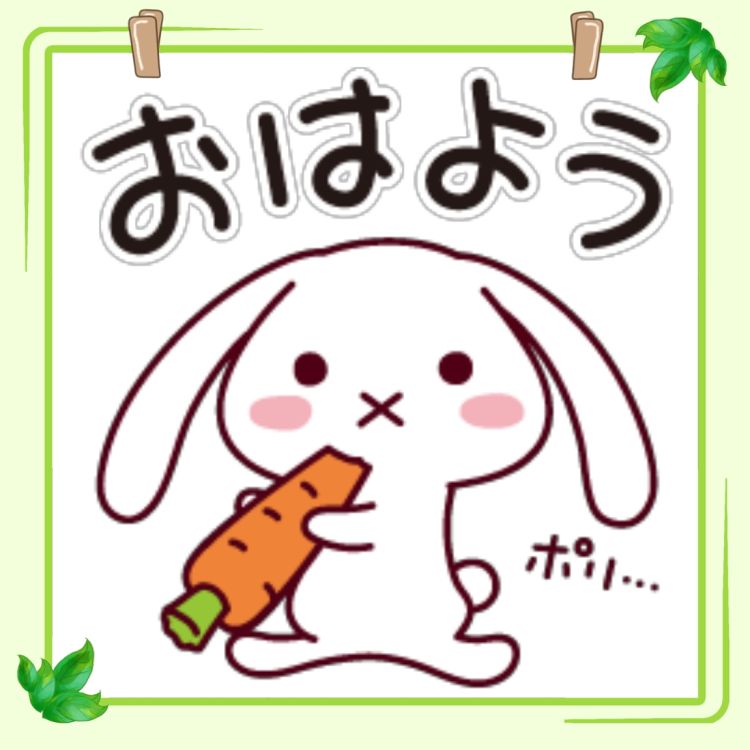 出勤しました♪