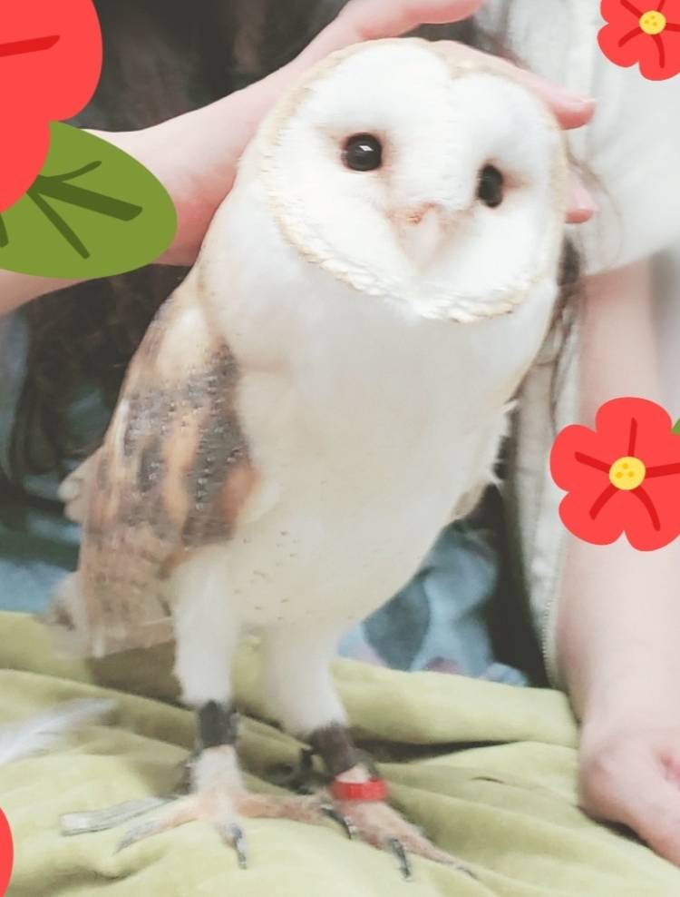 ゆい