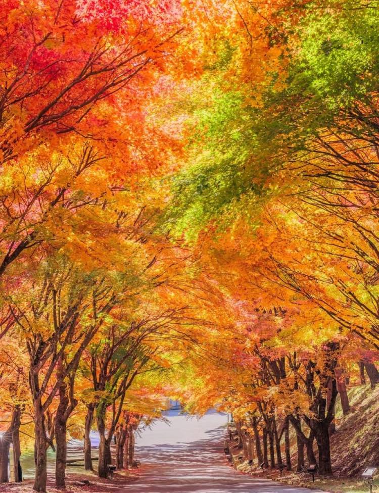 ありがとうございました🌙