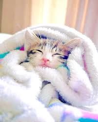 明日、出勤します♡