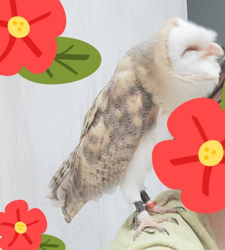 ｢ありがとうです｣