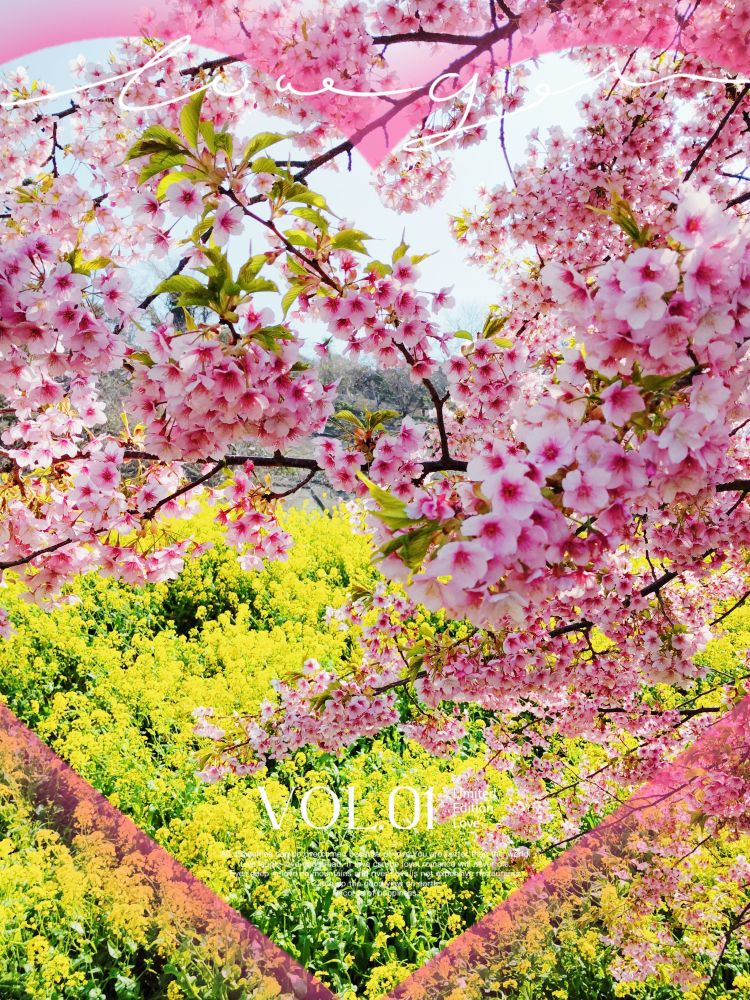 ありがとうございました♡