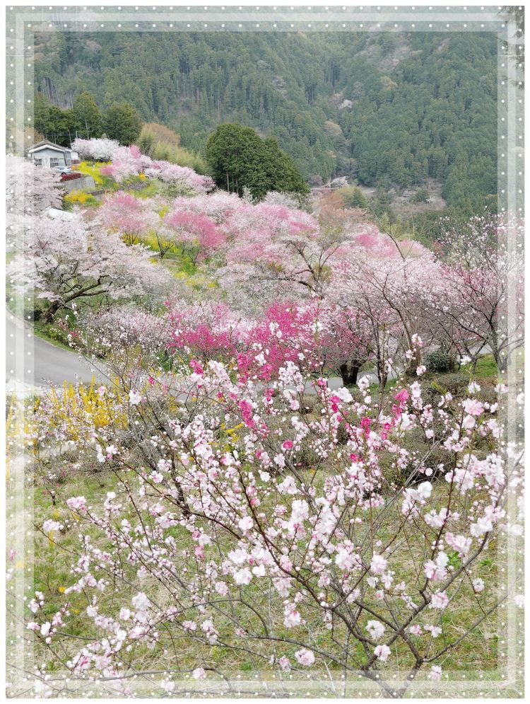 ありがとうございました♡