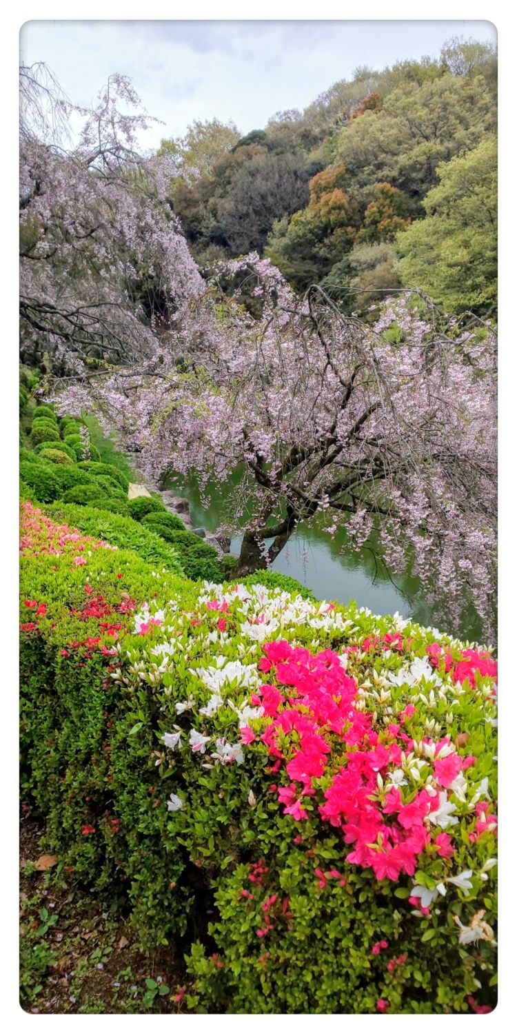 ありがとうございました♡