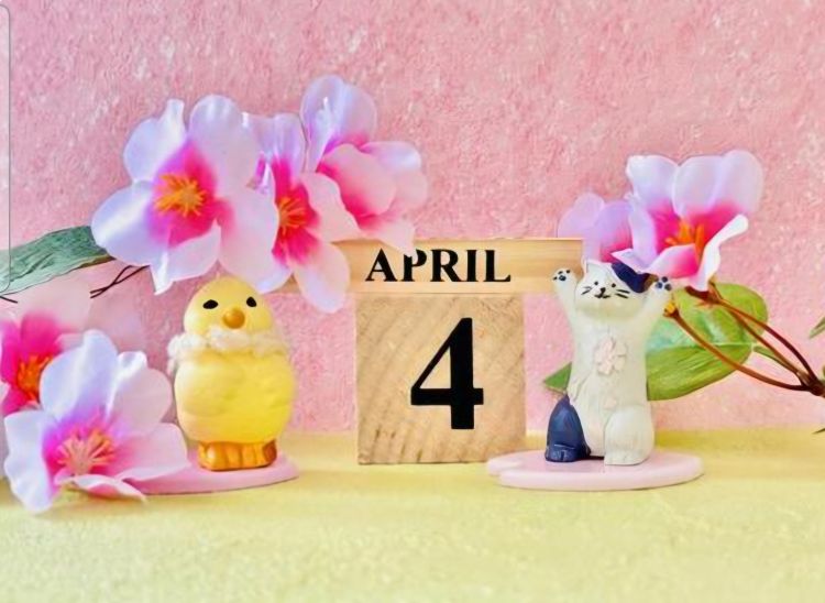 出勤しました🌸